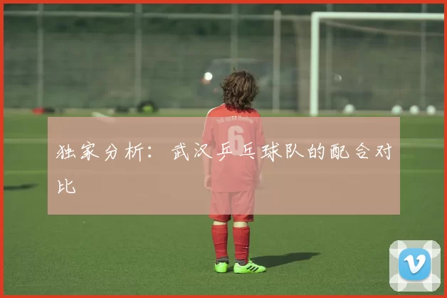 独家分析：武汉乒乓球队的配合对比