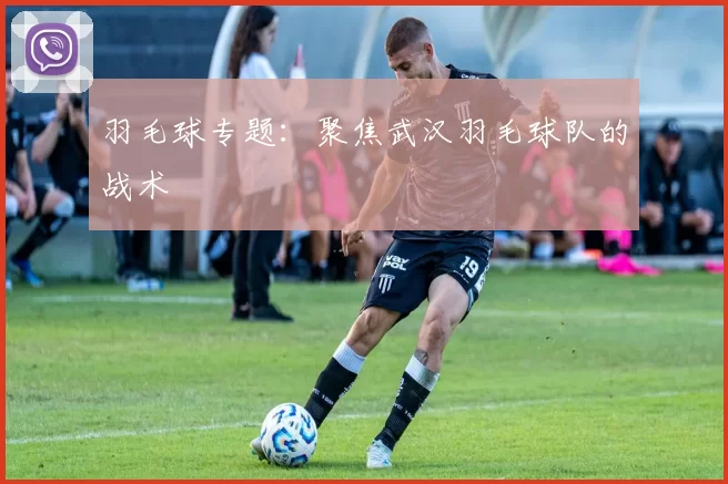 羽毛球专题：聚焦武汉羽毛球队的战术