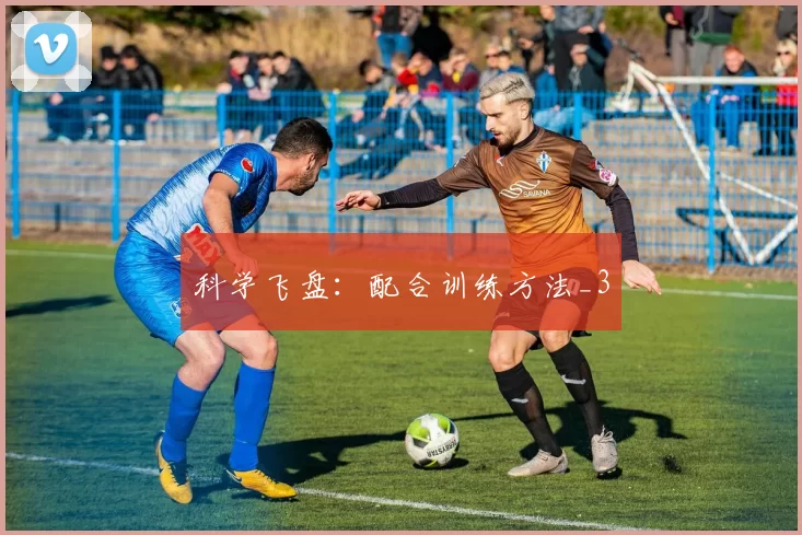科学飞盘：配合训练方法_3