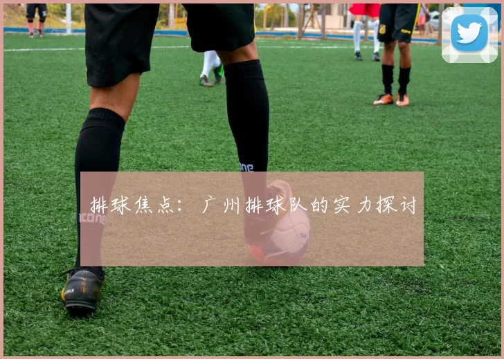 排球焦点：广州排球队的实力探讨