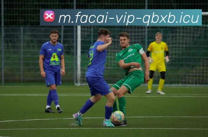 爱游戏体育APP 高清赛事图